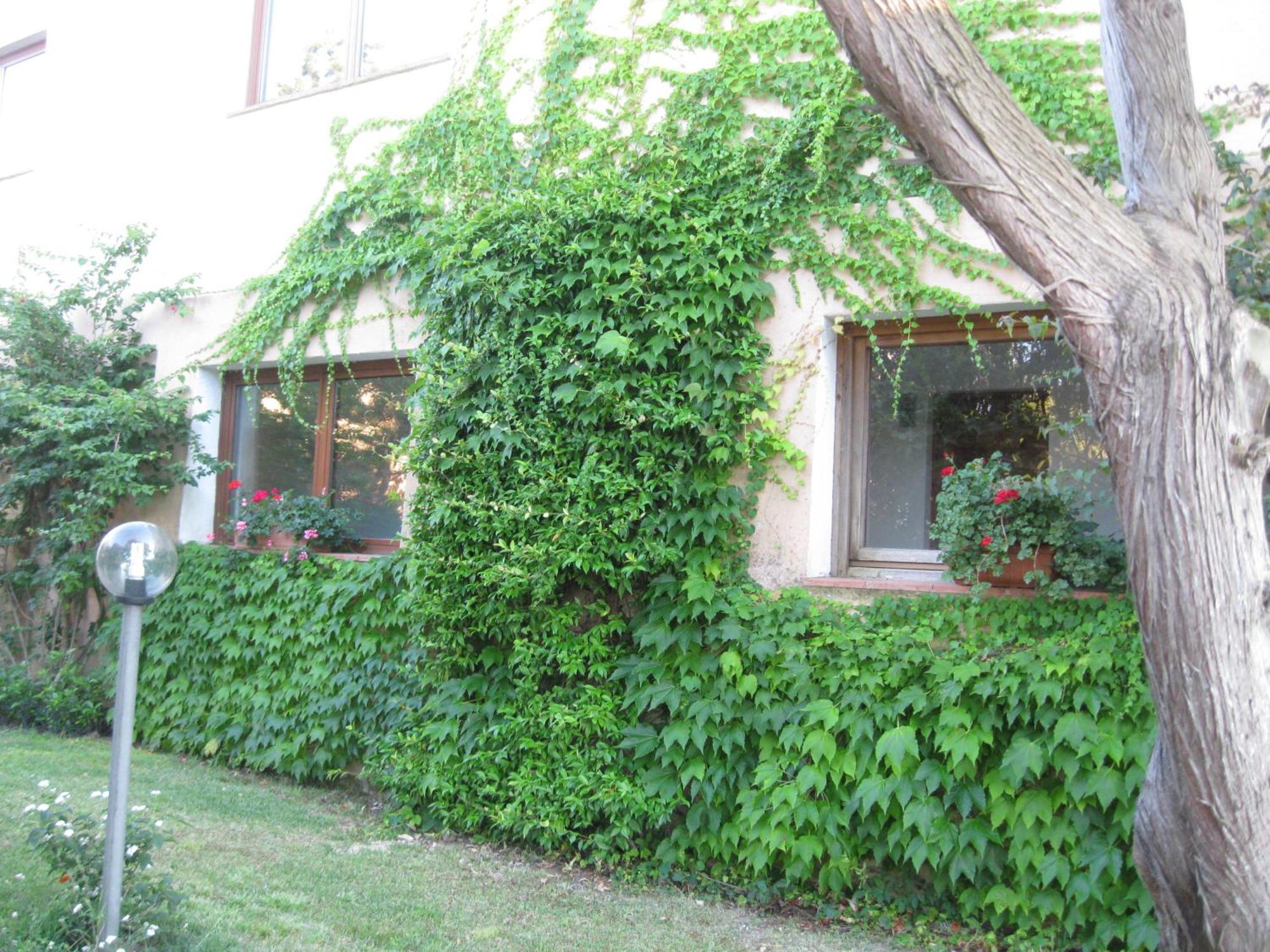 Hotel Valdiola Porto Cervo